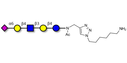 LS-Tetrasaccharide c (LSTc) with free terminal amine (Linker-NH2 D) - Sialyl-lacto-N-neotetraose c ; SLNnT-c