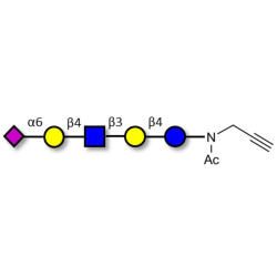 LS-Tetrasaccharide c (LSTc) with terminal alkyne (Linker-CΞCH A)