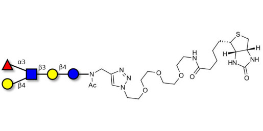 Lacto-N-fucopentaose III (LNFP III) linked to biotin (Linker-BT A)