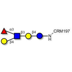 Lacto-N-fucopentaose III (LNFP III) grafted on CRM197