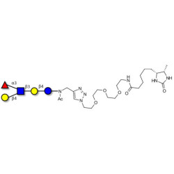 Lacto-N-fucopentaose III (LNFP III) linked to desthiobiotin (Linker-DBT-A)