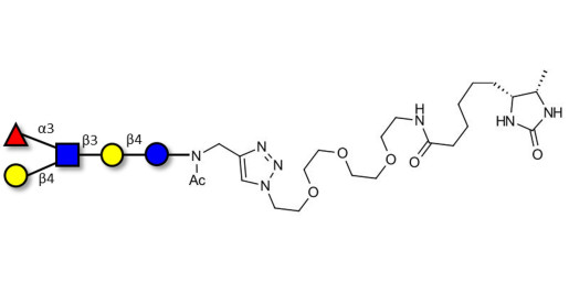 Lacto-N-fucopentaose III (LNFP III) linked to desthiobiotin (Linker-DBT-A)