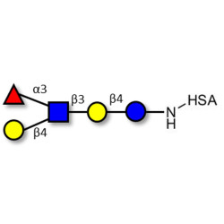 Lacto-N-fucopentaose III (LNFP III) grafted on HSA