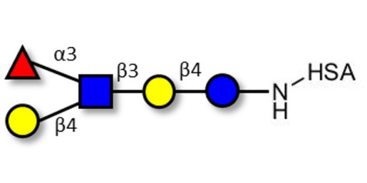 Lacto-N-fucopentaose III (LNFP III) grafted on HSA