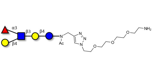 Lacto-N-fucopentaose III (LNFP III) with free terminal amine (Linker-NH2 B)
