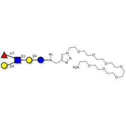 Lacto-N-fucopentaose III (LNFP III) with free terminal amine (Linker-NH2 C)