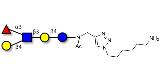 Lacto-N-fucopentaose III (LNFP III) with free terminal amine (Linker-NH2 D)