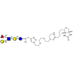 Lacto-N-fucopentaose II (LNFP II) linked to biotin (Linker-BT A)