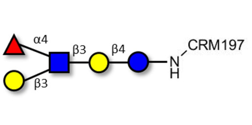 Lacto-N-fucopentaose II (LNFP II) grafted on CRM197