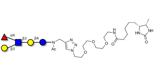 Lacto-N-fucopentaose II (LNFP II) linked to desthiobiotin (Linker-DBT-A)