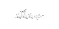 Lacto-N-fucopentaose II (LNFP II) grafted on HSA