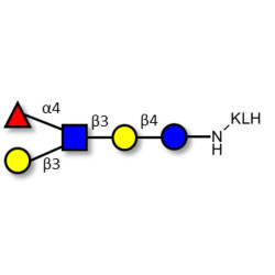 Lacto-N-fucopentaose II (LNFP II) grafted on KLH