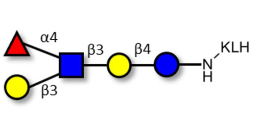 Lacto-N-fucopentaose II (LNFP II) grafted on KLH
