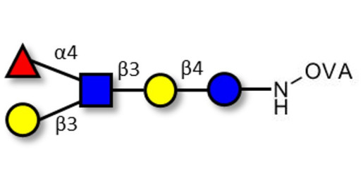 Lacto-N-fucopentaose II (LNFP II) grafted on OVA