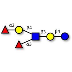 Lewis y (Ley) hexaose / Lacto-N-neoDiFucohexaose I (LNnDFH-I) (>90% NMR)