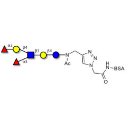 Lewis y (Ley) hexaose / Lacto-N-neoDiFucohexaose I (LNnDFH-I) grafted on BSA