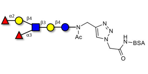 Lewis y (Ley) hexaose / Lacto-N-neoDiFucohexaose I (LNnDFH-I) grafted on BSA