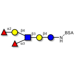 Lewis y (Ley) hexaose / Lacto-N-neoDiFucohexaose I (LNnDFH-I) grafted on BSA (Linker-BSA B)