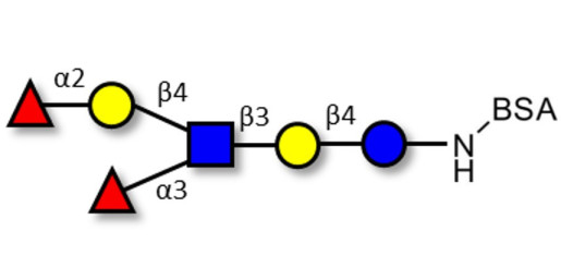 Lewis y (Ley) hexaose / Lacto-N-neoDiFucohexaose I (LNnDFH-I) grafted on BSA (Linker-BSA B)