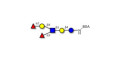 Lewis y (Ley) hexaose / Lacto-N-neoDiFucohexaose I (LNnDFH-I) grafted on BSA (Linker-BSA B)
