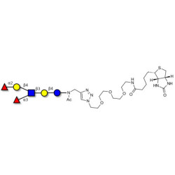 Lewis y (Ley) hexaose / Lacto-N-neoDiFucohexaose I (LNnDFH-I) linked to biotin (Linker-BT A)
