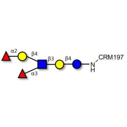 Lewis y (Ley) hexaose / Lacto-N-neoDiFucohexaose I (LNnDFH-I) grafted on CRM197