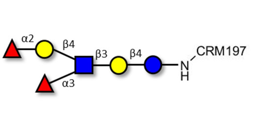 Lewis y (Ley) hexaose / Lacto-N-neoDiFucohexaose I (LNnDFH-I) grafted on CRM197