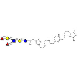 Lewis y (Ley) hexaose / Lacto-N-neoDiFucohexaose I (LNnDFH-I) linked to desthiobiotin (Linker-DBT-A)