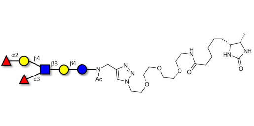 Lewis y (Ley) hexaose / Lacto-N-neoDiFucohexaose I (LNnDFH-I) linked to desthiobiotin (Linker-DBT-A)
