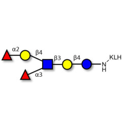 Lewis y (Ley) hexaose / Lacto-N-neoDiFucohexaose I (LNnDFH-I) grafted on KLH