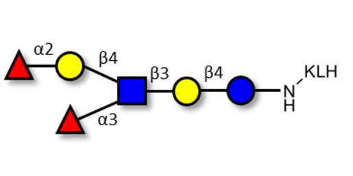 Lewis y (Ley) hexaose / Lacto-N-neoDiFucohexaose I (LNnDFH-I) grafted on KLH