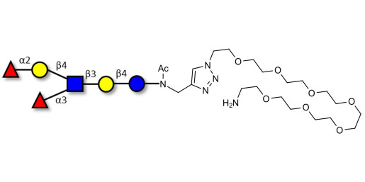 Lewis y (Ley) hexaose / Lacto-N-neoDiFucohexaose I (LNnDFH-I) with free terminal amine (Linker-NH2 C)