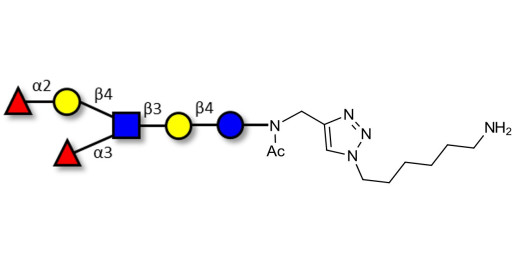 Lewis y (Ley) hexaose / Lacto-N-neoDiFucohexaose I (LNnDFH-I) with free terminal amine (Linker-NH2 D)