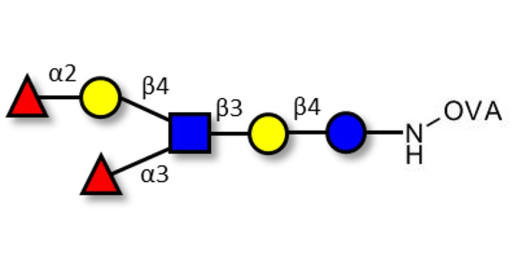 Lewis y (Ley) hexaose / Lacto-N-neoDiFucohexaose I (LNnDFH-I) grafted on OVA