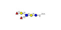 Lewis y (Ley) hexaose / Lacto-N-neoDiFucohexaose I (LNnDFH-I) grafted on OVA