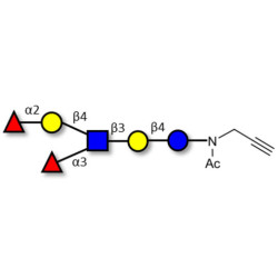 Lewis y (Ley) hexaose / Lacto-N-neoDiFucohexaose I (LNnDFH-I) with terminal alkyne (Linker-CΞCH A)