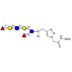 Lacto-N-neoDifucohexaose analogue grafted on BSA
