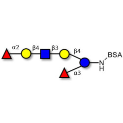 Lacto-N-neoDifucohexaose analogue grafted on BSA (Linker-BSA B)