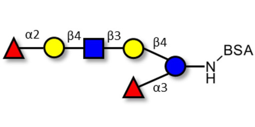 Lacto-N-neoDifucohexaose analogue grafted on BSA (Linker-BSA B)