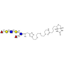 Lacto-N-neoDifucohexaose analogue linked to biotin (Linker-BT A)