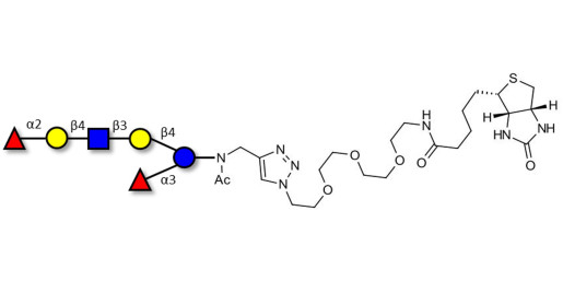 Lacto-N-neoDifucohexaose analogue linked to biotin (Linker-BT A)
