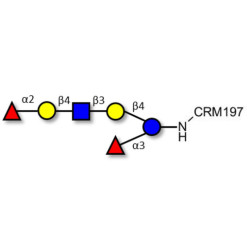 Lacto-N-neoDifucohexaose analogue grafted on CRM197