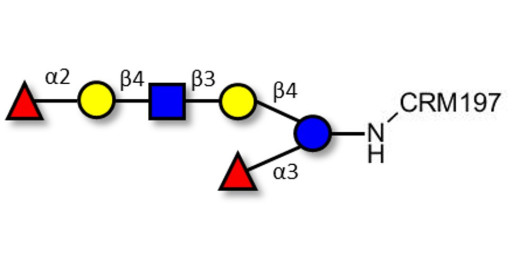 Lacto-N-neoDifucohexaose analogue grafted on CRM197