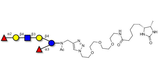 Lacto-N-neoDifucohexaose analogue linked to desthiobiotin (Linker-DBT-A)