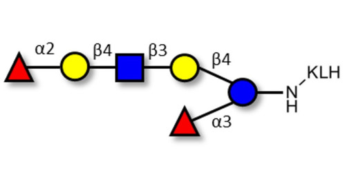 Lacto-N-neoDifucohexaose analogue grafted on KLH