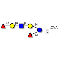 Lacto-N-neoDifucohexaose analogue grafted on OVA