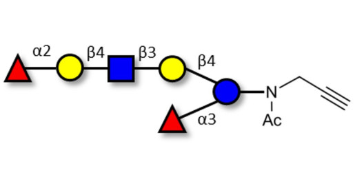 Lacto-N-neoDifucohexaose analogue with terminal alkyne (Linker-CΞCH A)