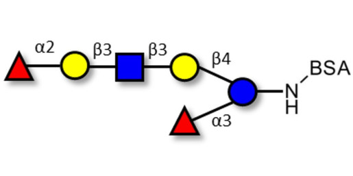 Lacto-N-Difucohexaose analogue grafted on BSA (Linker-BSA B)
