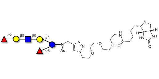 Lacto-N-Difucohexaose analogue linked to biotin (Linker-BT A)