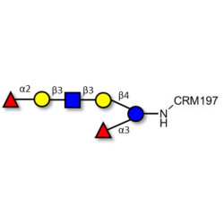 Lacto-N-Difucohexaose analogue grafted on CRM197
